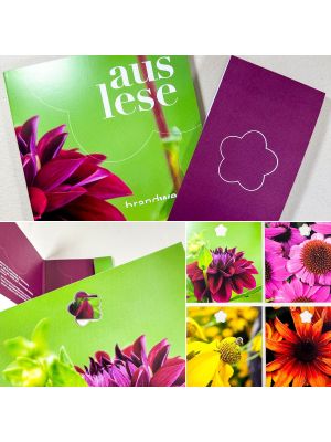 Postkartenset - Auslese