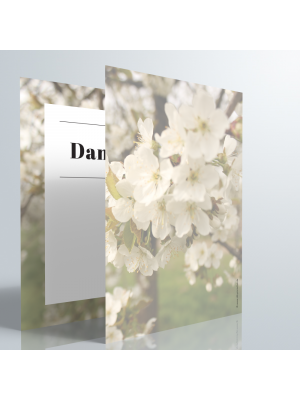 Dankeskarte | Hauchzart – Kirschblüten